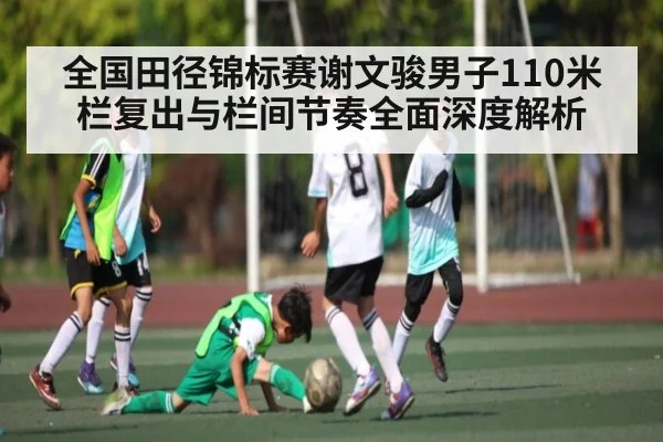 全国田径锦标赛谢文骏男子110米栏复出与栏间节奏全面深度解析